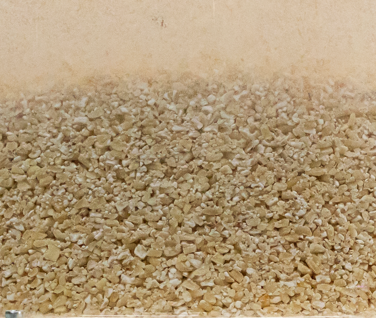 Brewing & Beverages